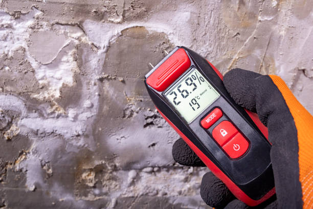 Best Localized Mold Remediation (e.g., coastal areas, humid climates) in Salem Lakes, WI