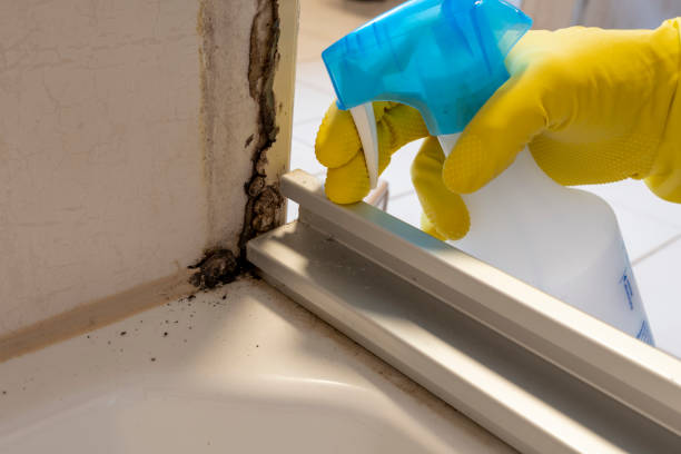 Best Industrial Mold Remediation in Salem Lakes, WI