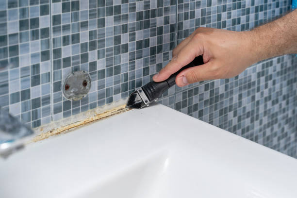 Best White Mold Remediation in Salem Lakes, WI