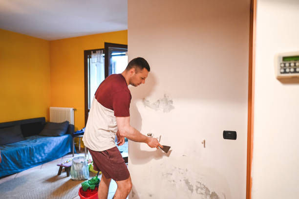 Best Bathroom Mold Remediation in Salem Lakes, WI